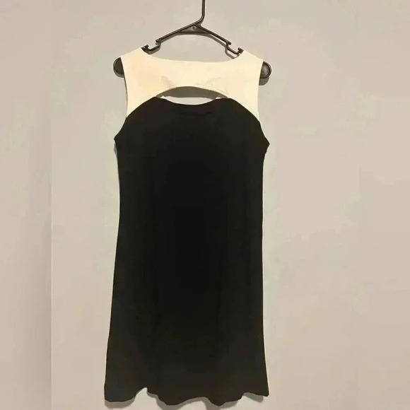 Eileen Fisher Women's Block Cutout Shift Shift Dress Minimalist size M Sleeveles - Picture 4 of 4